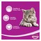 WHISKAS BITES BEEF LIVER 80G