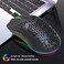 HXSJ T66 RGB 2.4G Wireless Gaming Mouse RGB Lighting Charging Mouse with Adjustable DPI Ergonomic Design for Desktop Laptop (Black)
