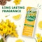 Zoflora Multi Purpose Concentrated Disinfectant Spring Time 500ml