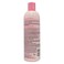 Hask Shampoo Rose Oil And Peach Color Protection 355ml