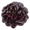 Butter Head Red Lettuce
