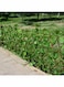 Expandable Wooden Fence with Artificial Faux Plant Leaves