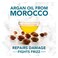 Herbal Essences Bio Renew Argan Oil of Morocco Shampoo 400ml