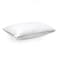 American Polo Cotton Bed Pillow With Microfiber Filling - 75x50cm