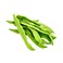 Broad Beans