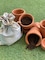 DIY Gardening Kit - Detox and Purify