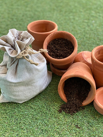 DIY Gardening Kit - Detox and Purify
