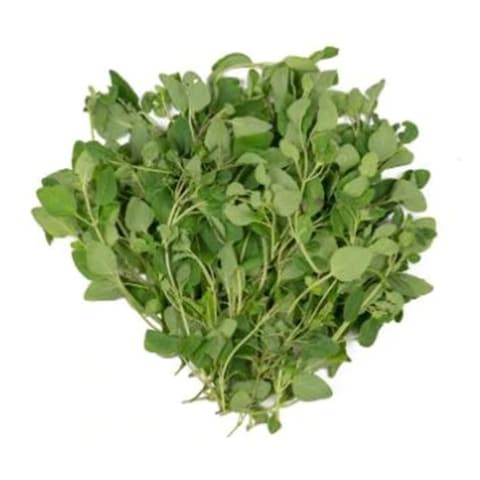 Nabat Fresh Greek Oregano - 25gm
