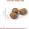 Royal Canin Fhn Feline Health Nutrition Indoor 7+ Years 1.5Kg Cat Dry Food