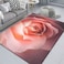 Mat for entrance door, floor mat, absorbent non-slip carpet 80 x 120 cm
