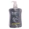 Carrefour Active Sensation Iris And Clary Sage Moisturizing Handwash 500Ml Black