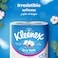 Kleenex Dry Soft Toilet Tissue Paper 2 Ply 12 Rolls x 200 Sheets Embossed Bathroom Tissue With A Touch Of Cotton