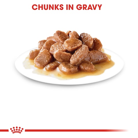 Feline Health Nutrition Ageing +12 Gravy (WET FOOD - 12&#39;S)