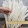 45cm Natural Dried Pampas Grass 30 Pcs for Flower Arrangements Home Decor (White)