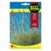 Fito Seeds Lavender