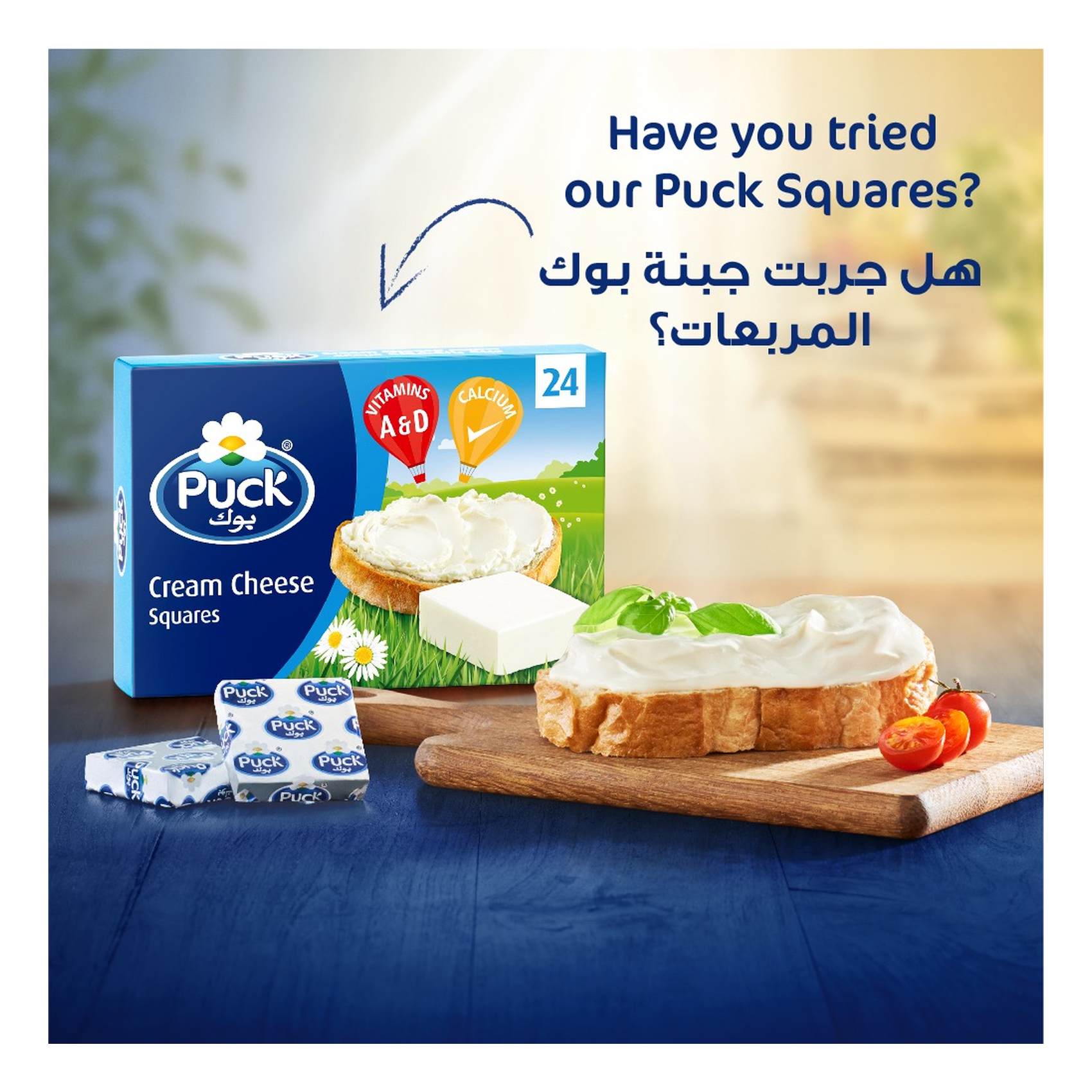 Puck Cream Cheese Squeeze Spread 400g