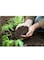Sphagnum Peat Moss Black High Water Retention Organic Soil Enhancer 3kg
