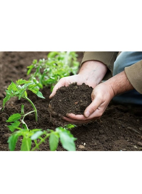 Sphagnum Peat Moss Black High Water Retention Organic Soil Enhancer 3kg