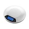 Brabantia Digital Scale Mat Steel