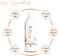 Bioghar 6 Natural Oils Shampoo For Dry Hair, Paraben Free, For Men &amp; Women, For Thicker, Fuller, Anti-Dandruff, Healthy Hair - 370ml, For All Scalp Type