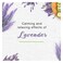 Himalaya Soothing And Protecting Baby Wipes 20 Piece