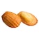 Madeleine Shell Cookies 16 Pieces