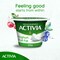 Activia Set Yoghurt Full Fat 150g