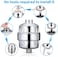 Water Purifier Shower Filter Silver