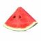 Watermelon Slice
