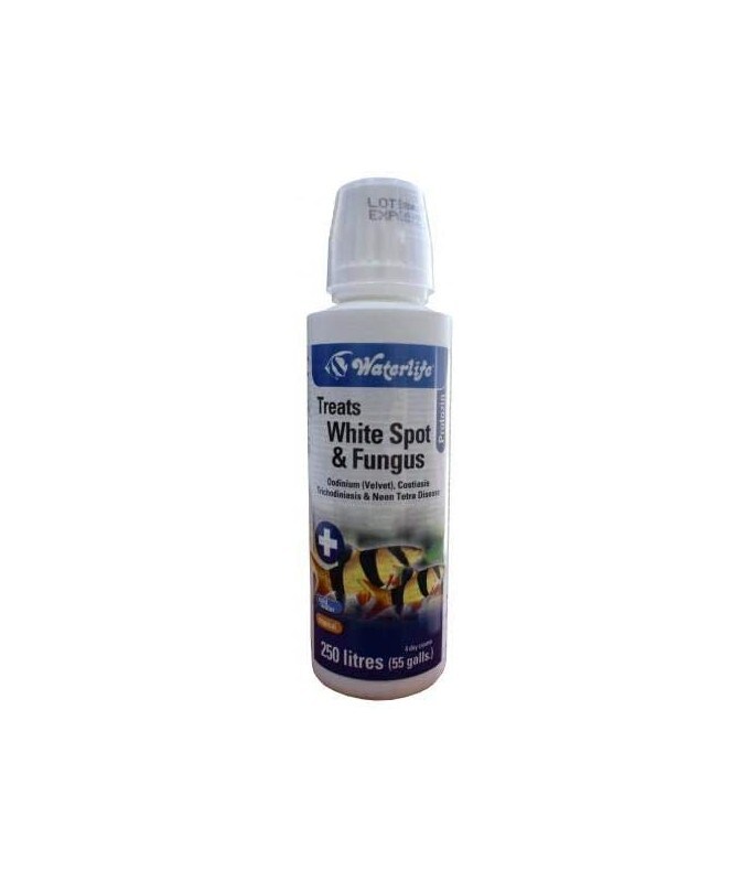 Buy WaterLife Protozin-Treats White Spot & Fungs Online | Carrefour UAE
