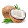 Indian Coconut