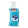 Sanita Hand Wash Mount Breeze 500ml