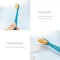 Flipper Hygienic Kids Toothbrush Holder With Suction Cups, One Touch Open &amp; Close, includes Soft Bristle Toothbrush, Made In Malaysia, Fun Animal Panda, 3Y+