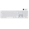 Apple Keyboard Magic Arabic