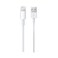 Apple Lightning USB Cable 1M