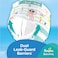 Pampers Splashers Diaper Pant Size 4 9-14kg White 11 Diapers