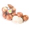 Bustan Onions Sweet Gold Tray 1 Kg