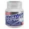 Mentos Peppermint White Sugar Free Chewing Gum 38 Pieces