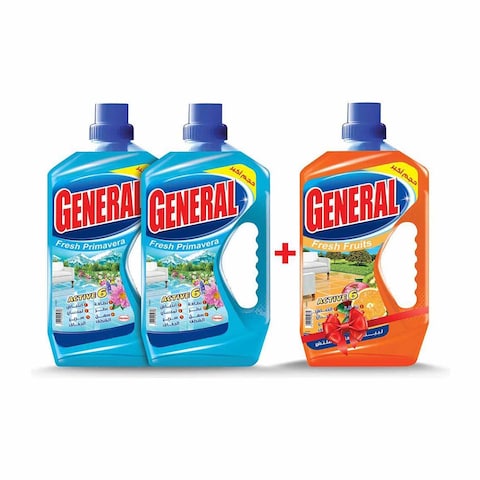 General Household Cleaner - 700 gram - Pack of 2 + 1