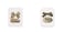 Aiwanto 2Pack Hair Clips Hair Accessories Hair Side Clips Girl's Hair Clips