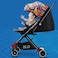 Travel Lite Stroller - SLD by Teknum - Picasso