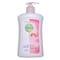 Dettol Liquid Handwash Skincare 400Ml