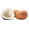 Coconut Dry 1pcs 