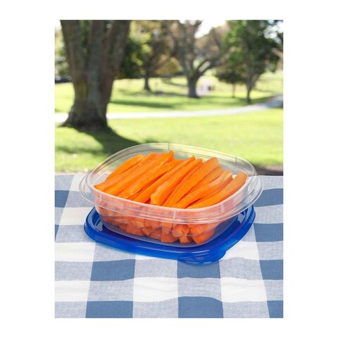 Sistema Takealongs Medium Food Storage Containers - 669 ml - 4 Pieces