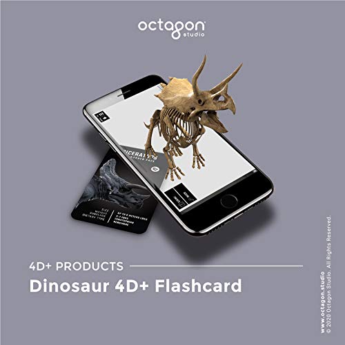Buy Dinosaur 4D Flashcards Online | Carrefour UAE