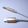 Earldom Lightning To 3.5Mm Plug