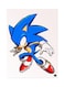 Video Game Sonic Metal Plate Poster Multicolour 15x20centimeter