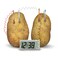 4m Kidz Labs Green Science Potato Clock Multicolour