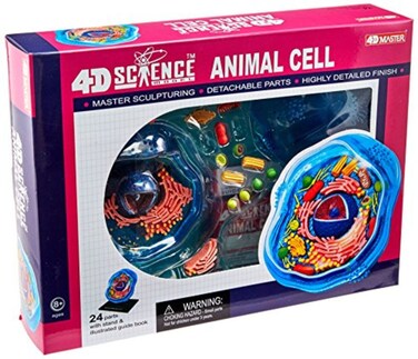 Buy Famemaster 4D-Science Animal Cell Anatomy Model Online | Carrefour UAE