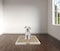 Dog Toilet for Training, dog potty training, Indoor Outdoor, Keep paws and floor clean, Small breed dog Toilet with tray, Portable, Easy To Clean, Reliable, Beige &amp; Brown Colors, Small 66 Cm Length